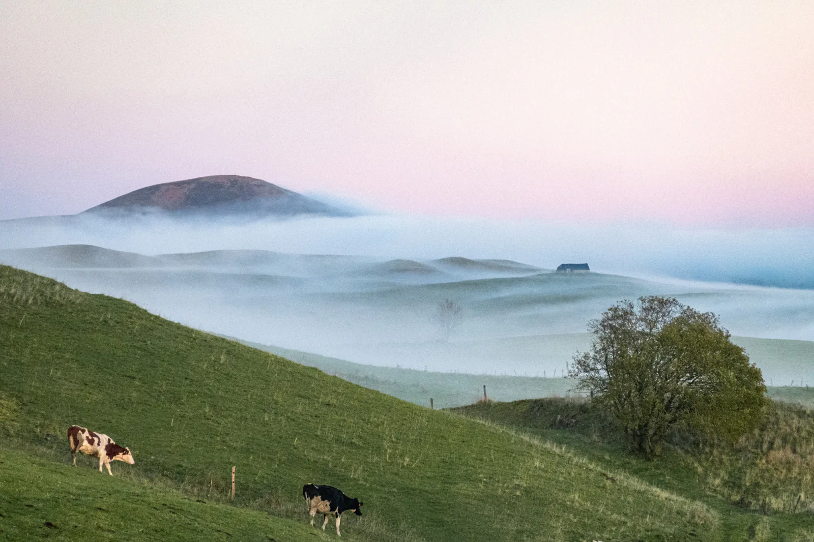 Lachaux - Cantal (Auvergne)